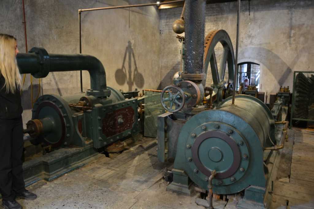 DSC_5860Mittel_.JPG